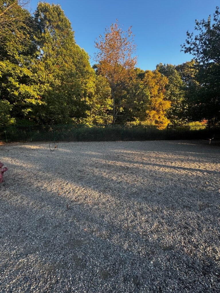 randolph dog park randolph 2 1 768x1024