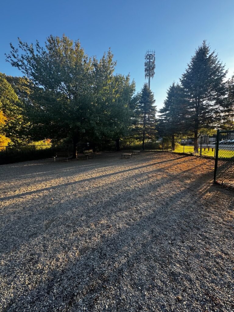 randolph dog park randolph 3 1 768x1024