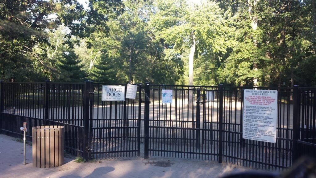 ridgewood dog park ridgewood 2 1 1024x576