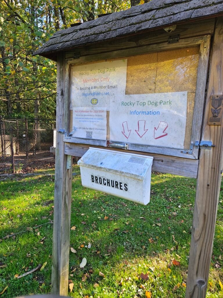 rocky top dog park princeton 2 1 768x1024