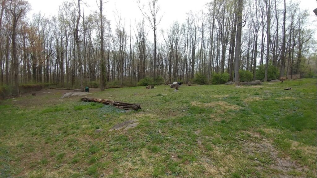 rocky top dog park princeton 3 1 1024x576