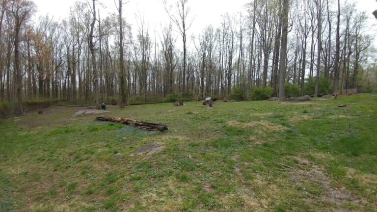 rocky top dog park princeton 3 1 768x432