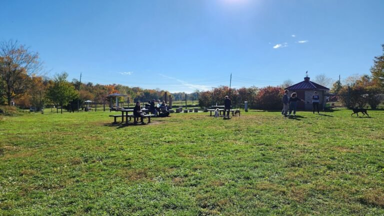 rosedale dog park pennington 2 1 768x432