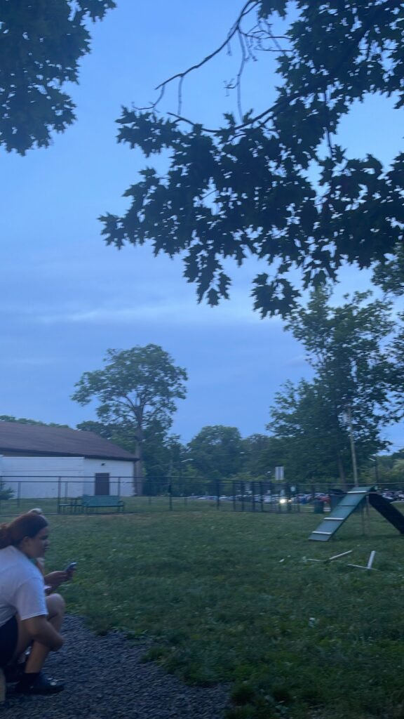 roselle dog park roselle 3 1 576x1024