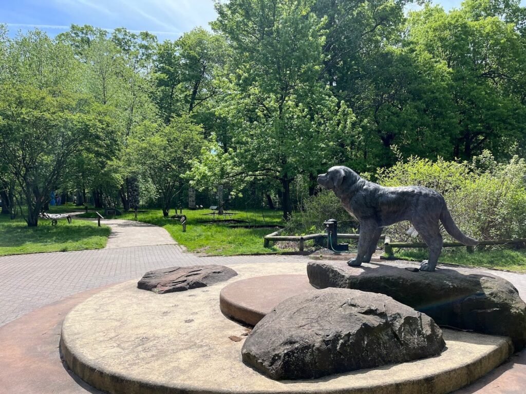 south mountain dog park maplewood 2 1 1024x768