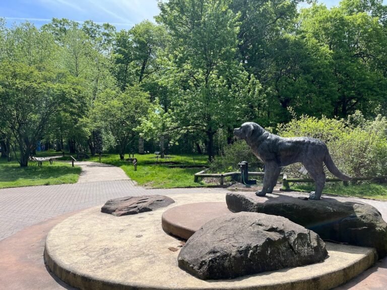 south mountain dog park maplewood 2 1 768x576