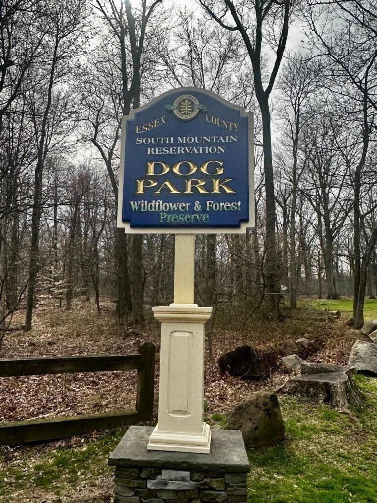 south mountain dog park maplewood 3 1 768x1024