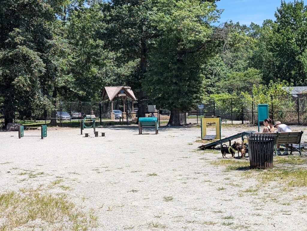 south mountain dog park maplewood 4 1 1024x771