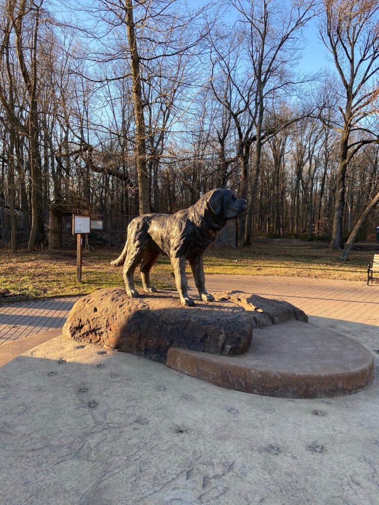 south mountain dog park maplewood 5 1 768x1024