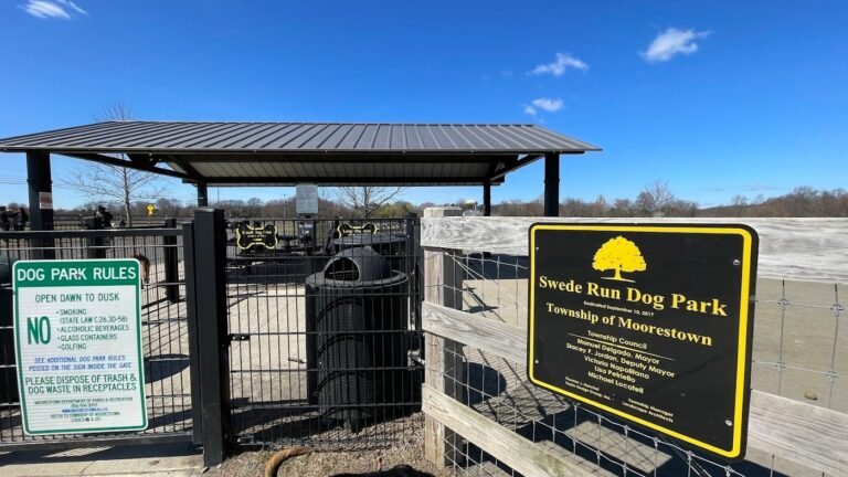 swede run fields dog park moorestown 5 1 768x432