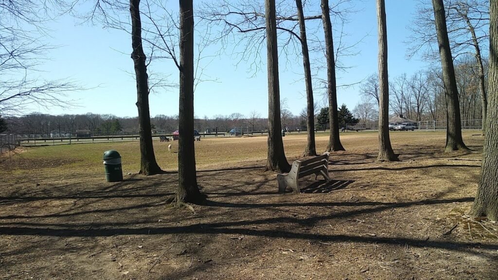 thompson park dog park monroe township 2 1 1024x576