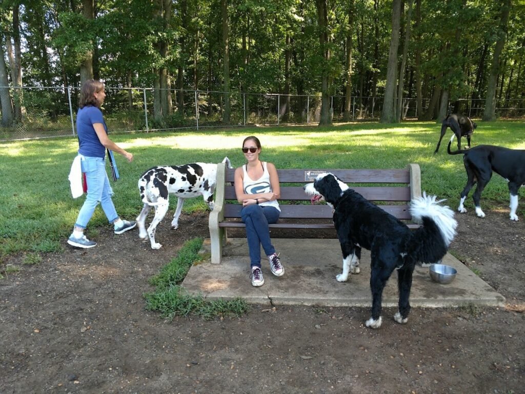 thompson park dog park monroe township 3 1 1024x768