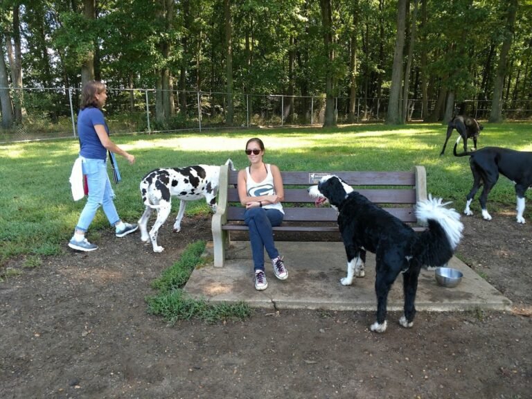 thompson park dog park monroe township 3 1 768x576