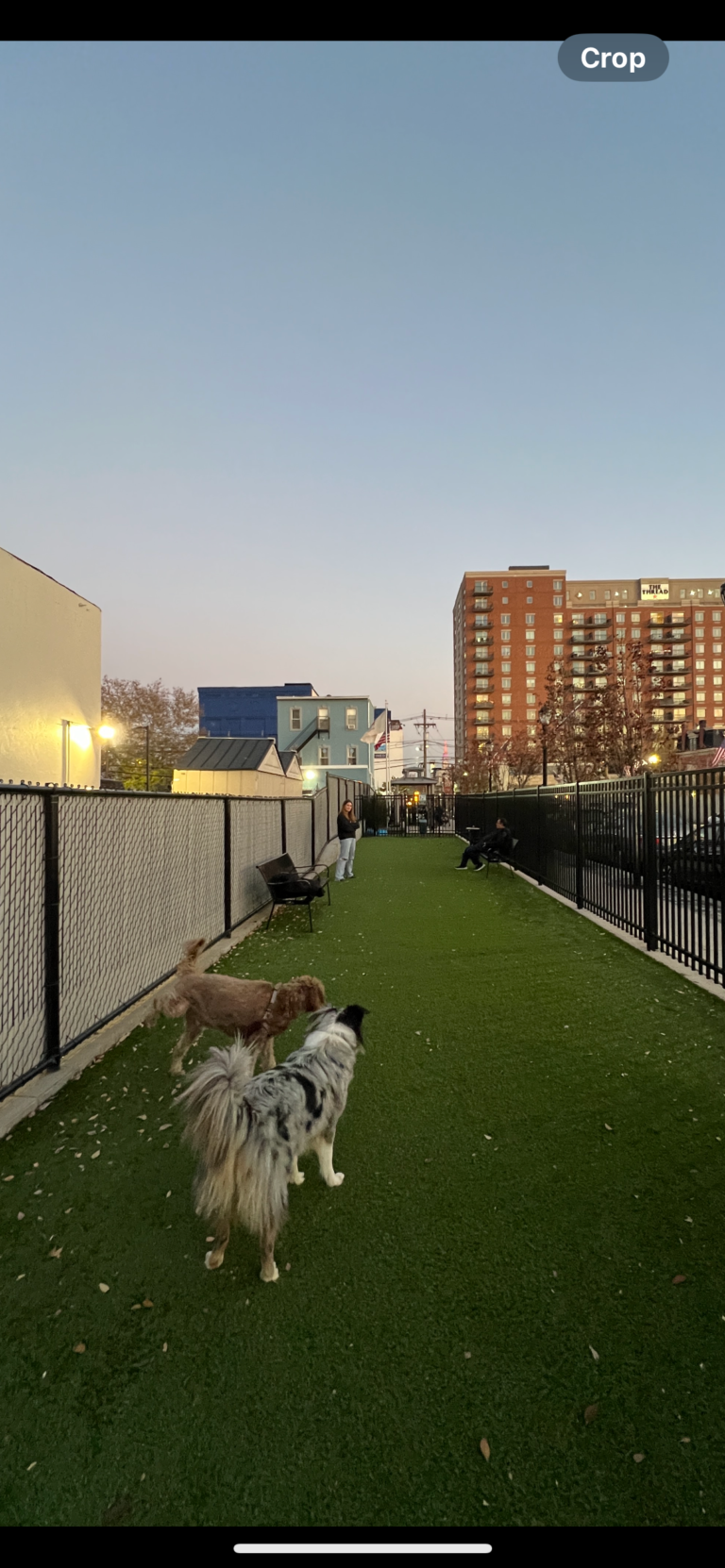 union city small dog park union city 5 1 768x1662