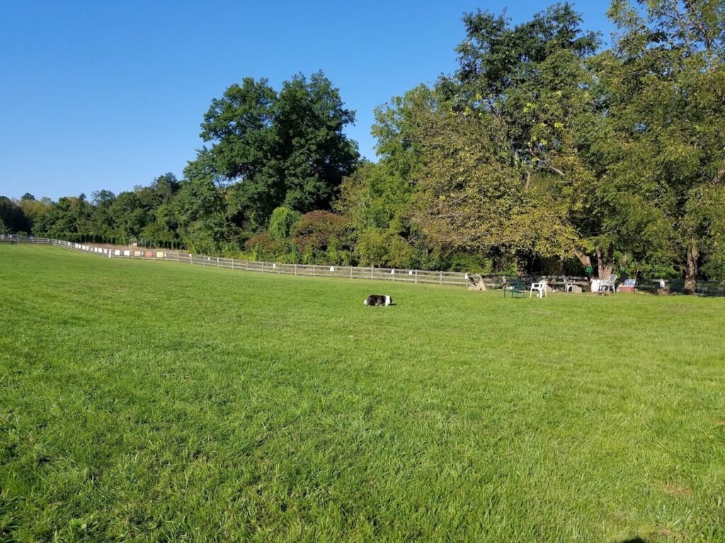 vernon dog park vernon township 2 1 1024x768