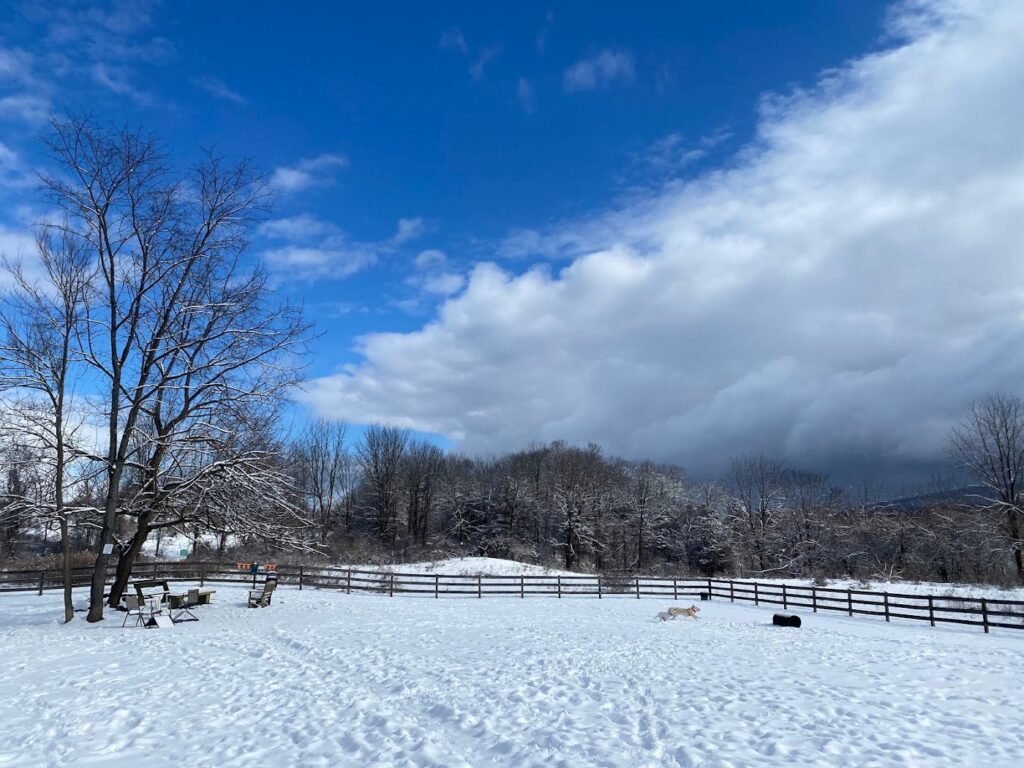 vernon dog park vernon township 4 1 1024x768