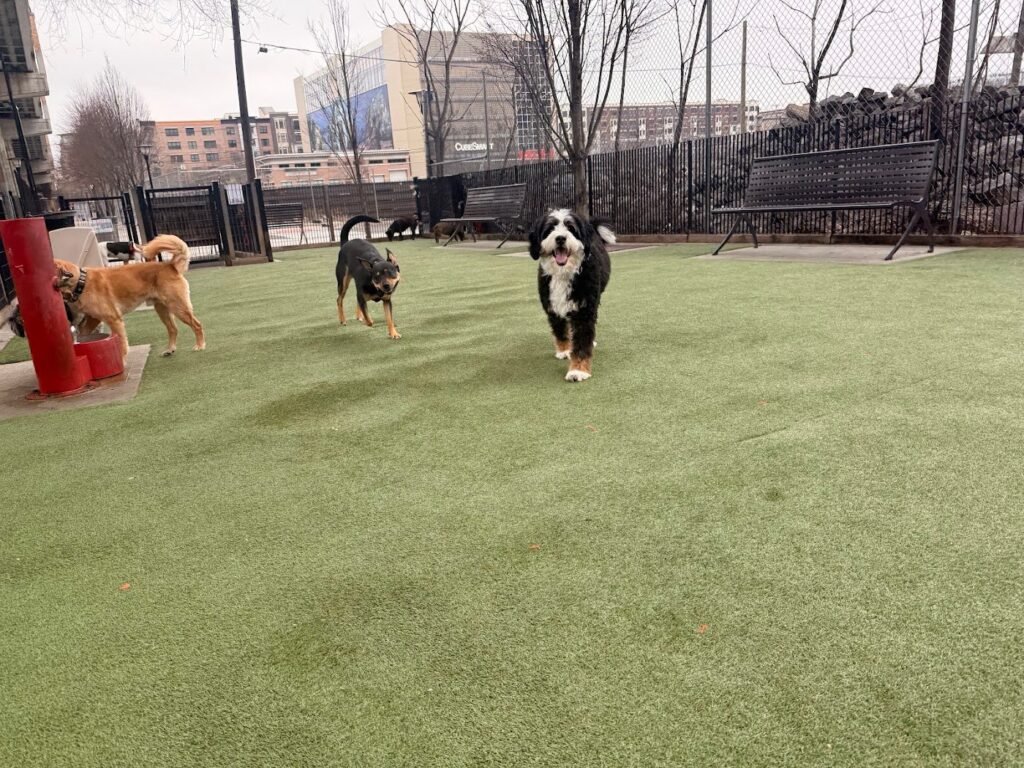 viaduct park dog park hoboken 2 1 1024x768