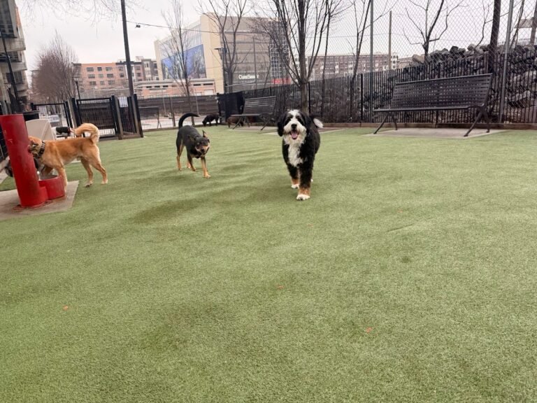 viaduct park dog park hoboken 2 1 768x576