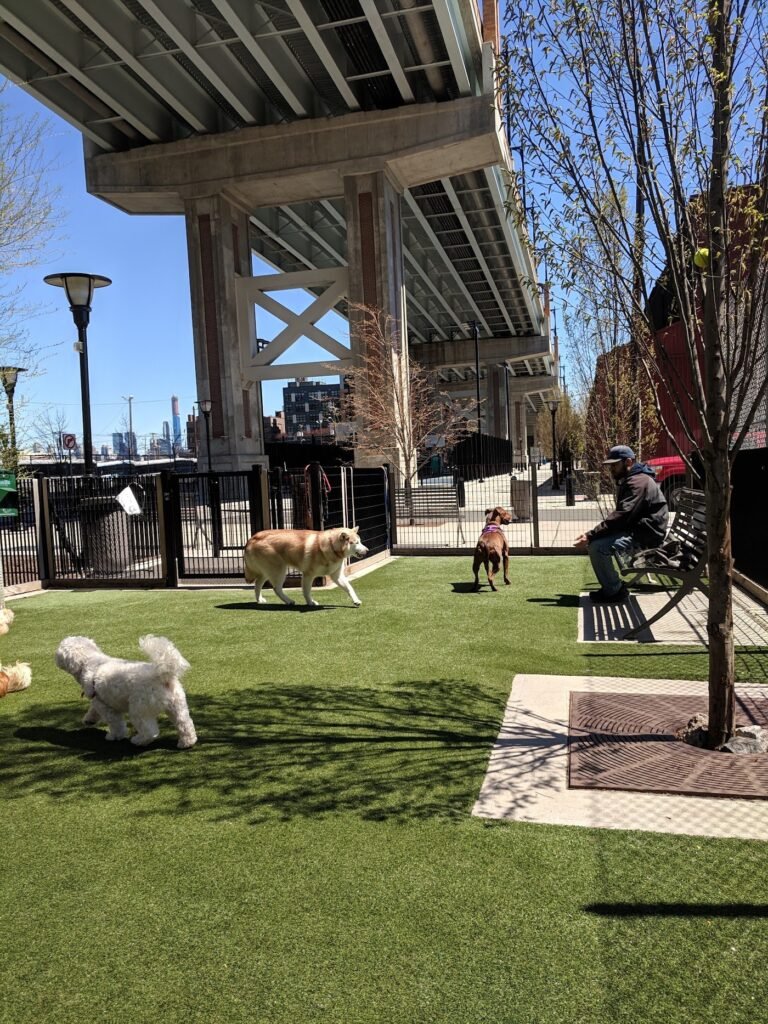 viaduct park dog park hoboken 3 1 768x1024