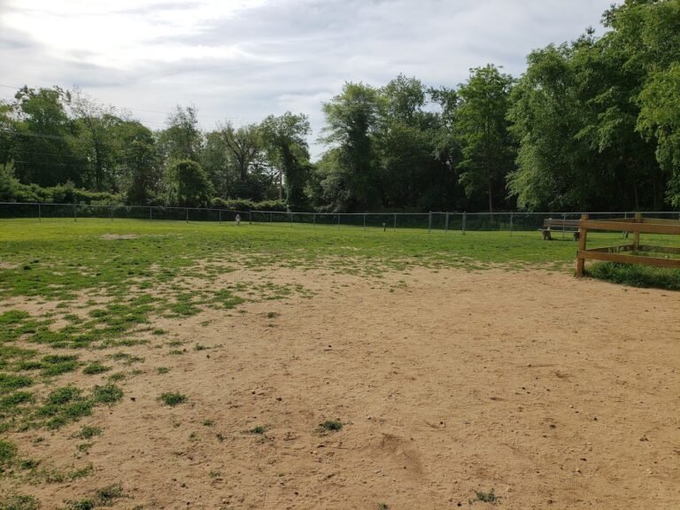 wall township off leash dog park wall township 2 1 768x576