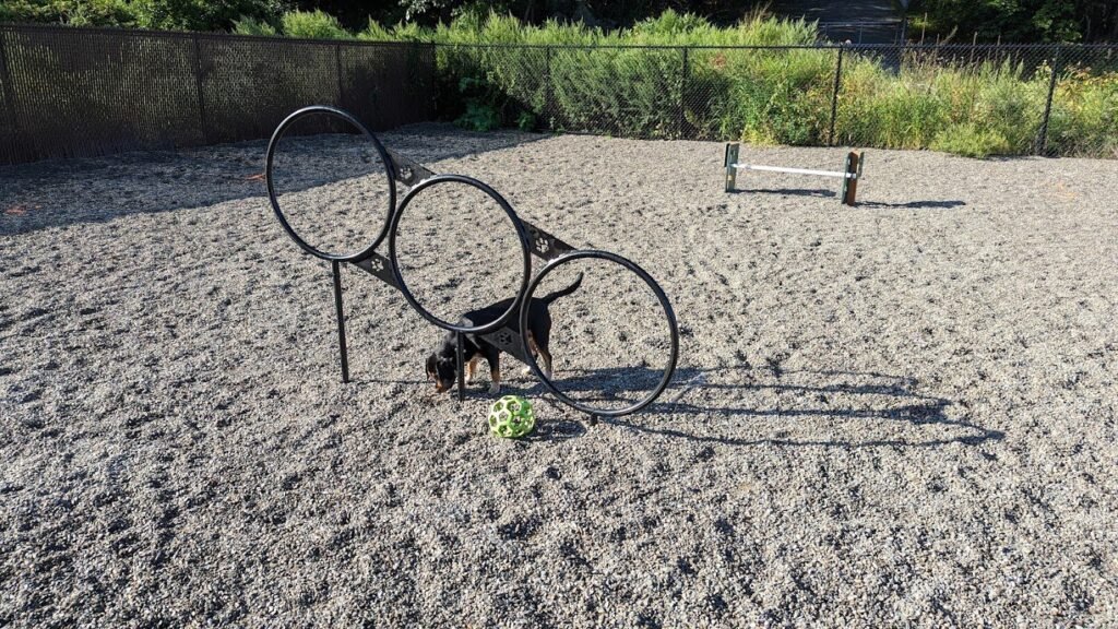 wanaque dog park haskell 2 1 1024x576