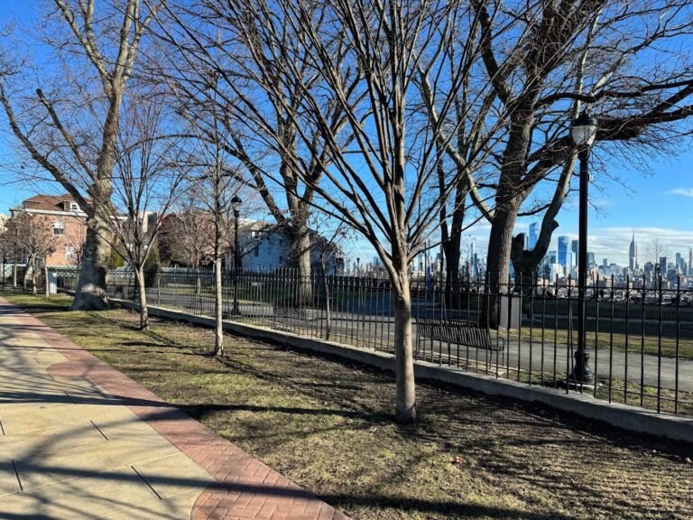 washington park dog run union city 2 1 768x576