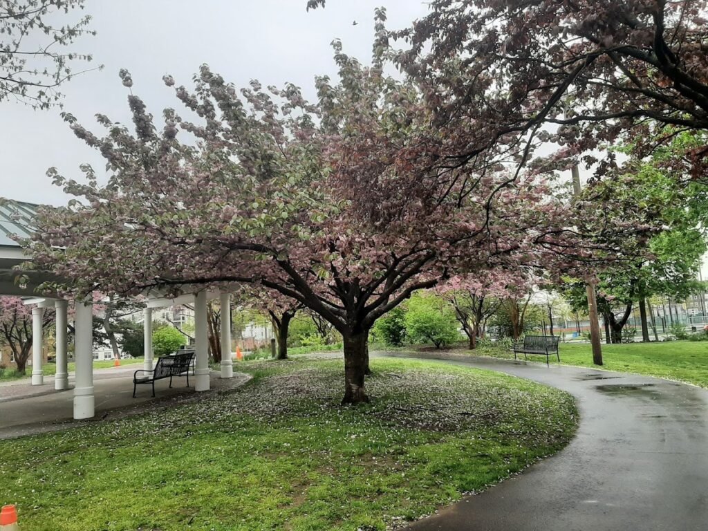 washington park dog run union city 4 1 1024x768
