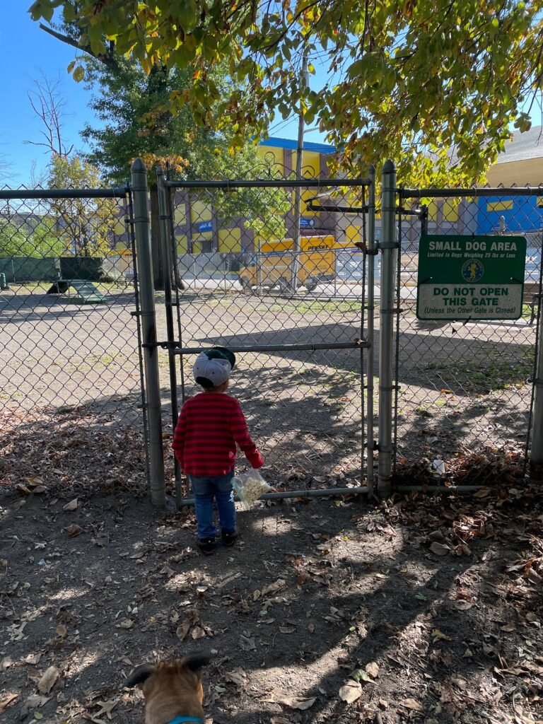 watsessing dog park bloomfield 2 1 768x1024