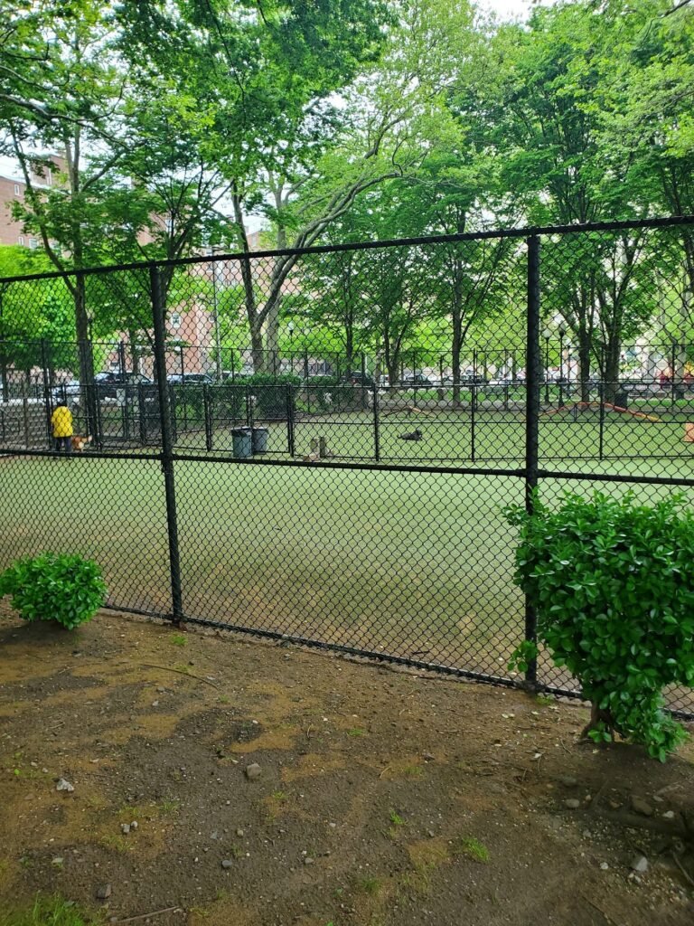 west new york dog park west new york 3 1 768x1024