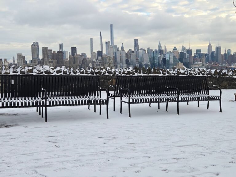 west new york dog park west new york 5 1 768x576