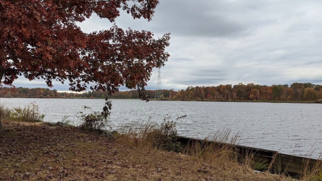 west windsor dog park mercer county park west wind 4 1 1024x576