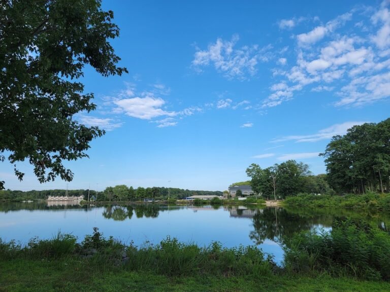west windsor dog park mercer county park west wind 5 1 768x576