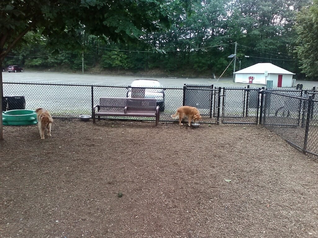 westvale park woof dog park westwood 2 1 1024x768