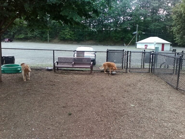 westvale park woof dog park westwood 2 1 768x576