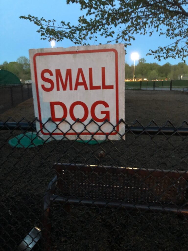 westvale park woof dog park westwood 3 1 768x1024