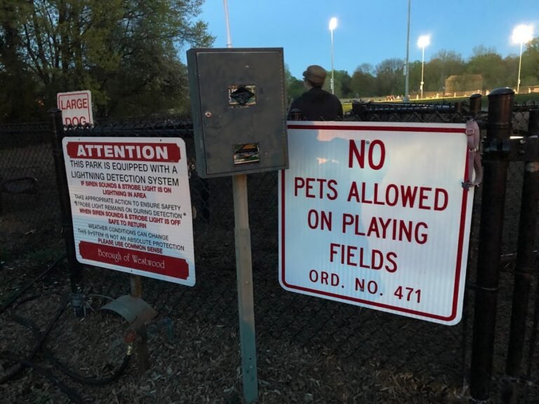 westvale park woof dog park westwood 5 1 768x576