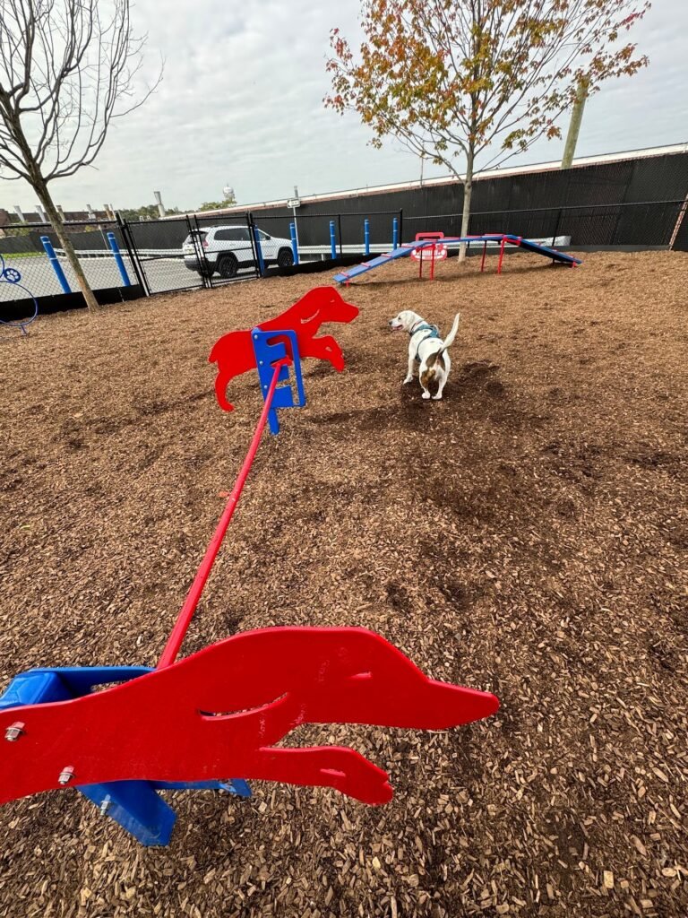 wood ridge dog park wood ridge 3 1 768x1024