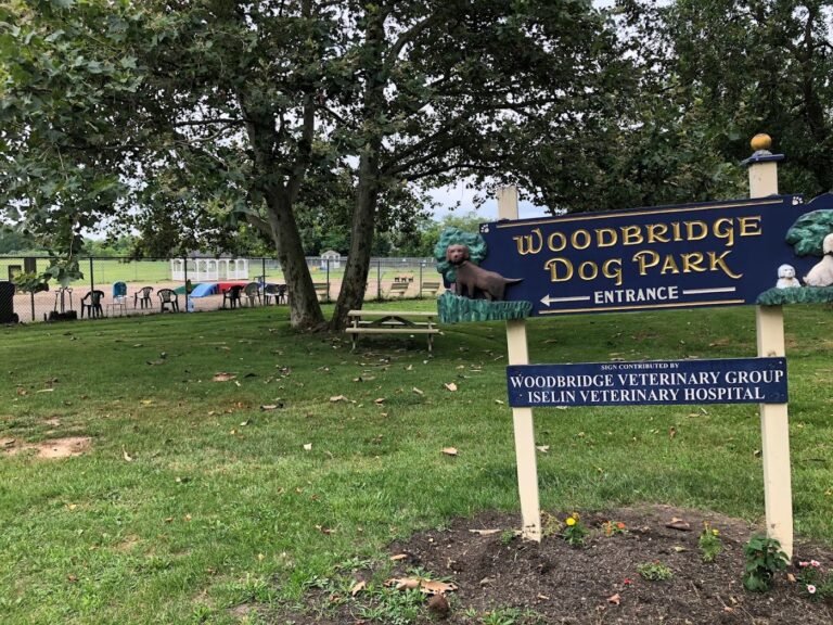 woodbridge dog park sewaren 4 1 768x576